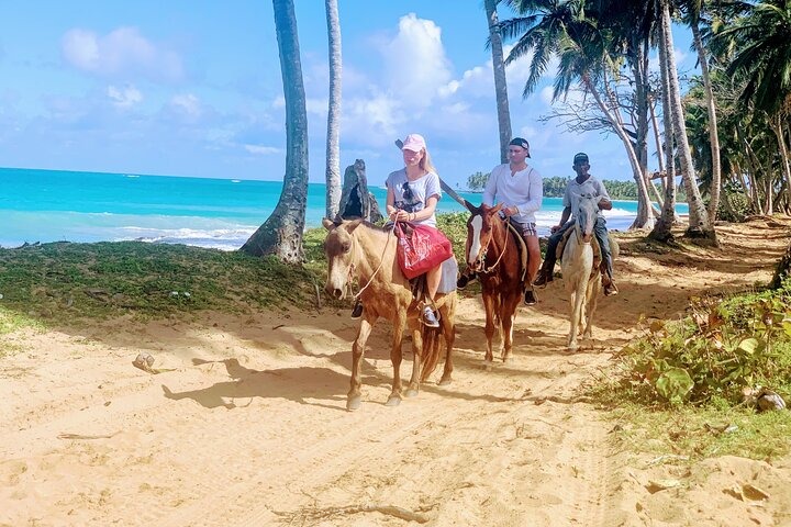 Playa Limón Horseback Riding and Montaña Redonda - excursions in Miches